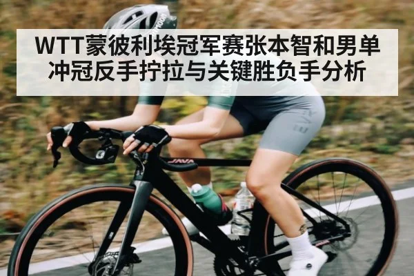 WTT蒙彼利埃冠军赛张本智和男单冲冠反手拧拉与关键胜负手分析